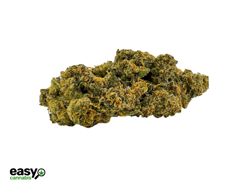 קנאביס רפואי תפרחת ג.ס.פ - T22/C4 - G.S.P גרין בויז יום\לילה - היברידי