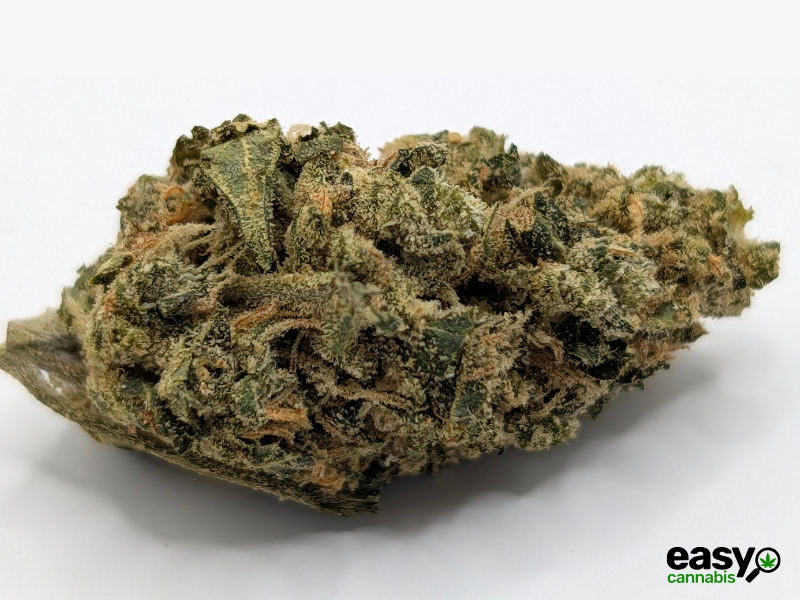 קנאביס רפואי תפרחת סנו לוטוס - T22/C4 - Snow Lotus פיס נטורלס לילה - אינדיקה