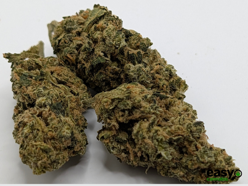 קנאביס רפואי תפרחת סנו לוטוס - T22/C4 - Snow Lotus פיס נטורלס לילה - אינדיקה