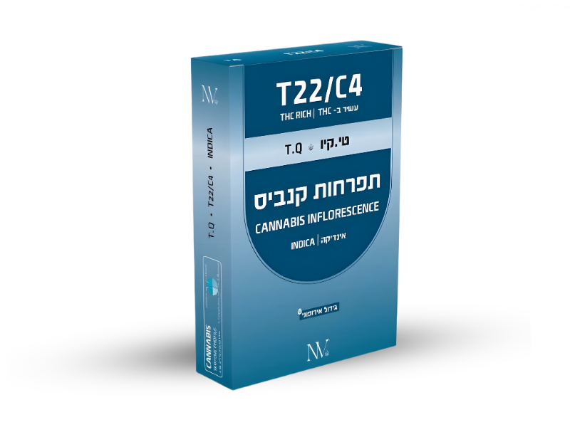 קנאביס רפואי תפרחת טי.קיו - T22/C4 - T.Q נובה קנאביס לילה - אינדיקה