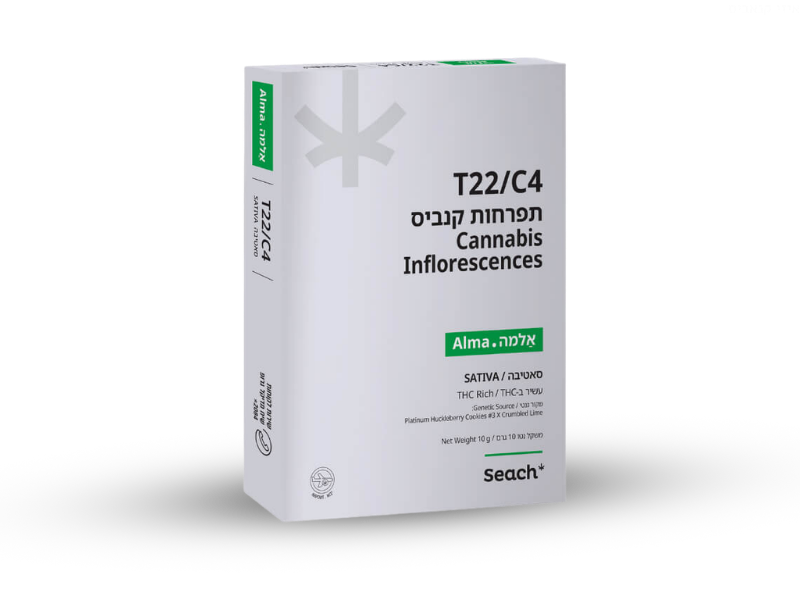 קנאביס רפואי תפרחת אלמה - T22/C4 - ALMA שיח מדיקל יום - סאטיבה