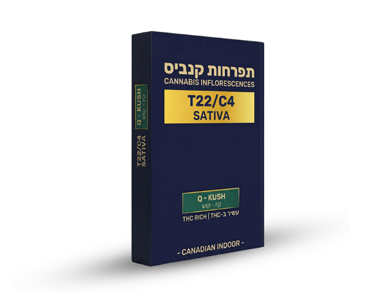 קנאביס רפואי תפרחת קיו-קוש - T22/C4 - Q-Kush גרין פארמה יום - סאטיבה