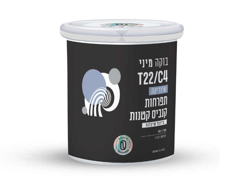 קנאביס רפואי פחית תפרחת בוקה מיני - T22/C4 - BUCA MINI CAN טריכום לילה - אינדיקה