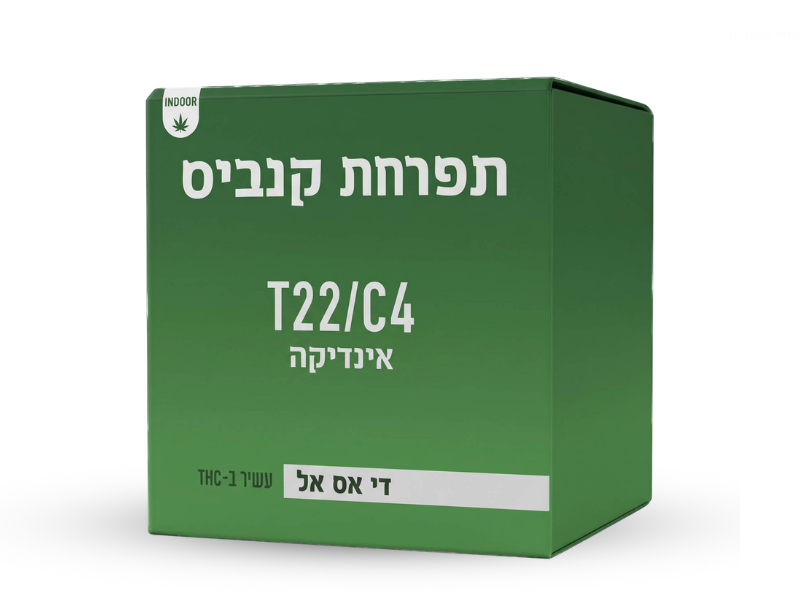 קנאביס רפואי תפרחת די אס אל - T22/C4 - DSL קנטק לילה - אינדיקה