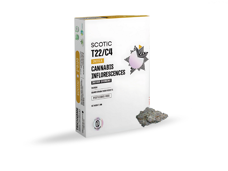 קנאביס רפואי תפרחת סקוטיק - T22/C4 - Scotic טריכום לילה - אינדיקה