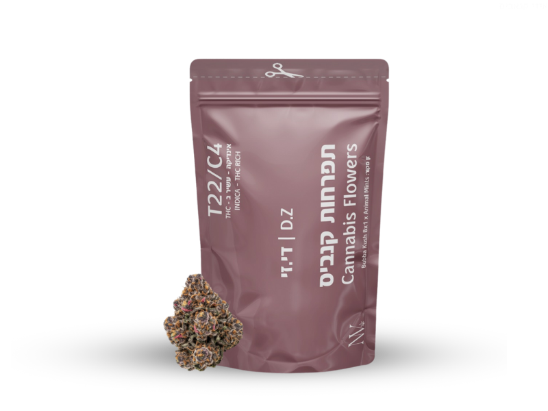 קנאביס רפואי תפרחת די.זי - T22/C4 - D.Z נובה קנאביס לילה - אינדיקה