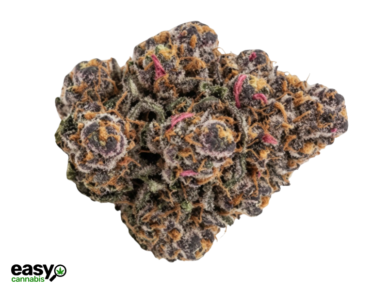 קנאביס רפואי תפרחת די.זי מיני - T22/C4 - D.Z Mini נובה קנאביס לילה - אינדיקה