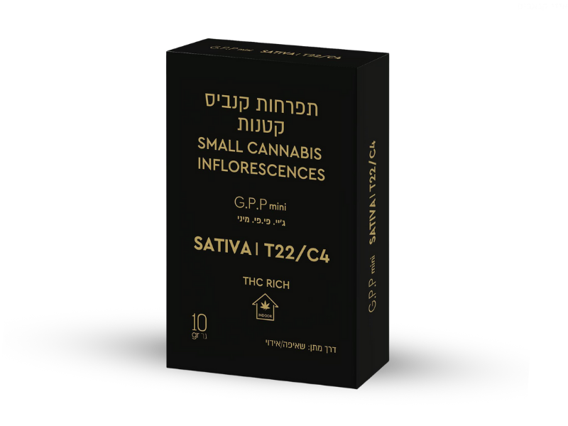 קנאביס רפואי תפרחת ג'י.פיפי מיני - T22/C4 - G.PP Mini תיקון עולם לילה - אינדיקה