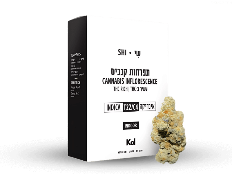 קנאביס רפואי תפרחת שי - T22/C4 - shi קול מדיקל לילה - אינדיקה