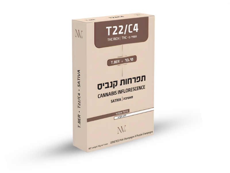 קנאביס רפואי תפרחת טי.בר איקס - T22/C4 - T.Ber X נובה קנאביס יום - סאטיבה