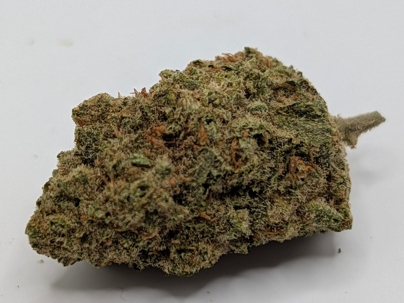 קנאביס רפואי תפרחת דאבליו רינו - T22/C4 - W Rinoo גרינקום לילה - אינדיקה