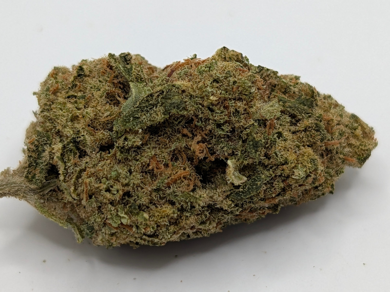 קנאביס רפואי תפרחת דאבליו רינו - T22/C4 - W Rinoo גרינקום לילה - אינדיקה