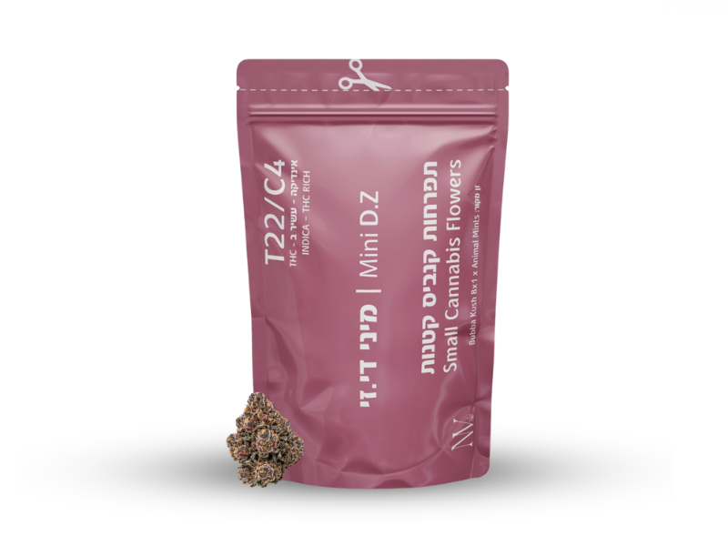 קנאביס רפואי תפרחת די.זי מיני - T22/C4 - D.Z Mini נובה קנאביס לילה - אינדיקה