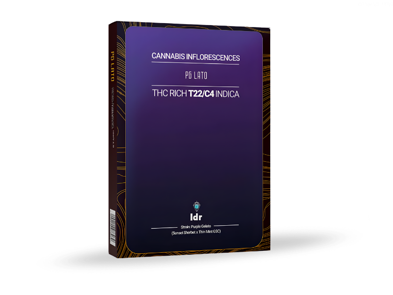 קנאביס רפואי תפרחת פיג'י לאטו - T22/C4 - PG Lato קנדוק לילה - אינדיקה