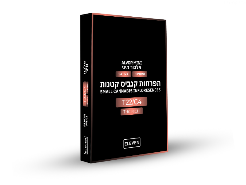 קנאביס רפואי תפרחת אלבור מיני - T22/C4 - Alvor Mini גרינמד יום - סאטיבה