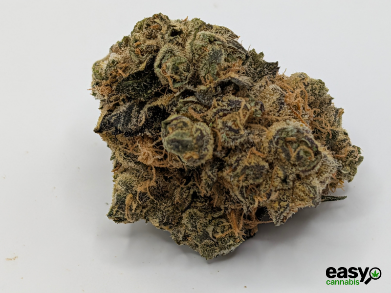 קנאביס רפואי תפרחת טי&או - T22/C4 - T&O טריכום לילה - אינדיקה