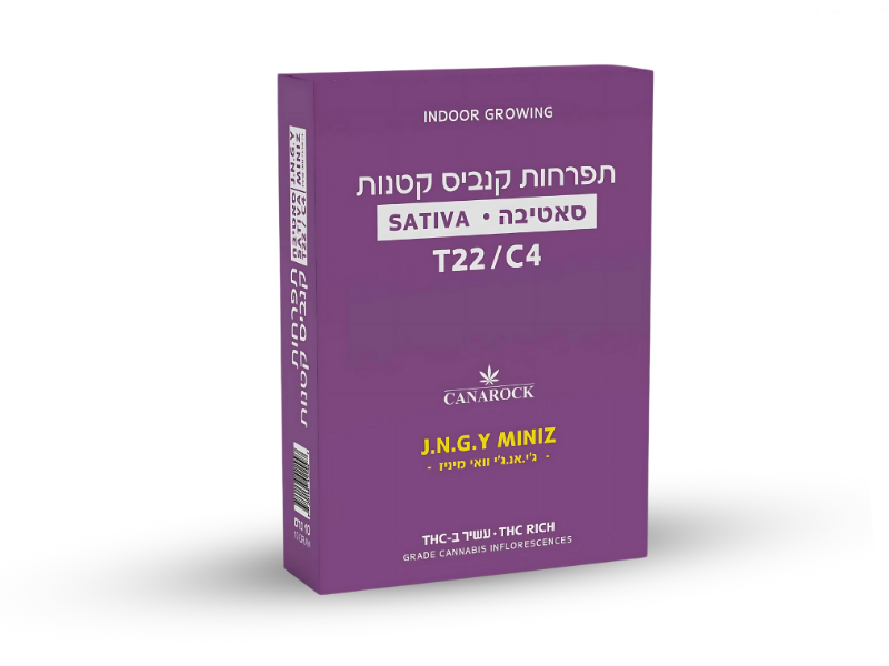 קנאביס רפואי תפרחת ג'י.אנ.ג'י וואי מיניז - T22/C4 - J.N.G.Y Miniz קנארוק יום - סאטיבה