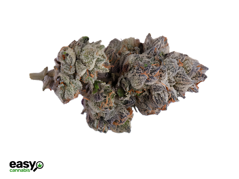 קנאביס רפואי תפרחת א.נ.ב - T22/C4 - ANB גרין פילדס לילה - אינדיקה