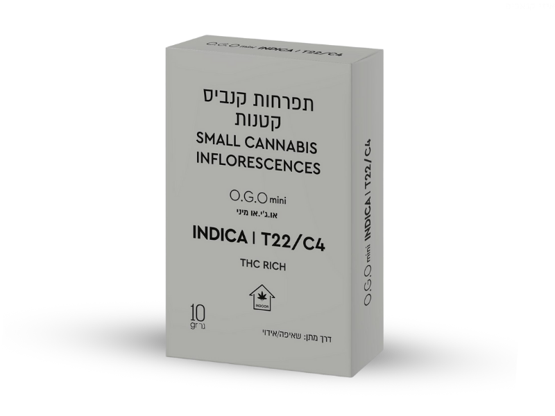 קנאביס רפואי תפרחת או.ג'י.או מיני - T22/C4 - O.G.O Mini קנטק לילה - אינדיקה