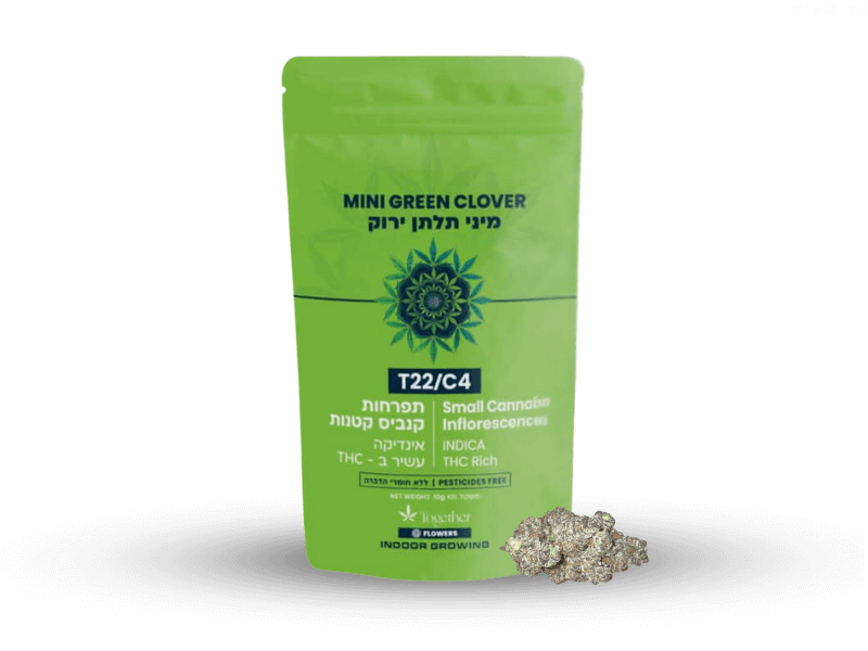 קנאביס רפואי תפרחת גרין קלובר מיני - T22/C4 - Mini Green Clover טוגדר פארמה לילה - אינדיקה