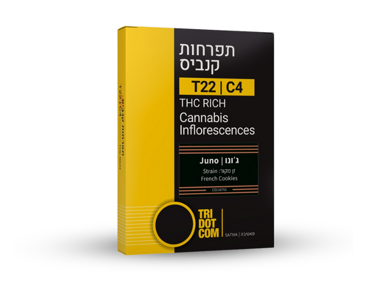 קנאביס רפואי תפרחת ג'ונו - T22/C4 - Juno קנדוק יום - סאטיבה