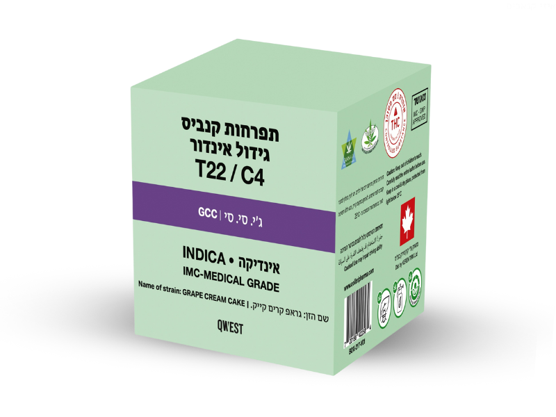קנאביס רפואי תפרחת ג'י.סי.סי - T22/C4 - G.C.C קווסט לילה - אינדיקה