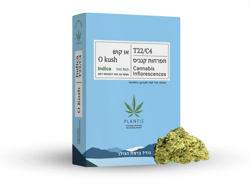 קנאביס רפואי תפרחת או קוש - T22/C4 - O Kush פלאנטיס לילה - אינדיקה