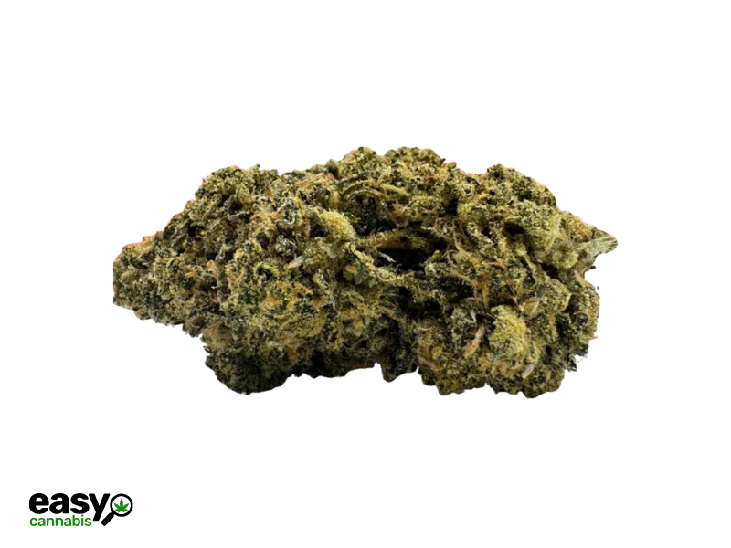 קנאביס רפואי תפרחת אמ.ג'י.1 - T22/C4 - M‎.‎G‎.‎1 גרין בויז יום\לילה - היברידי