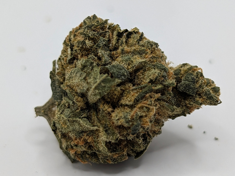 קנאביס רפואי תפרחת טנג'י קוש - T22/C4 - Tangie Kush פיס נטורלס לילה - אינדיקה