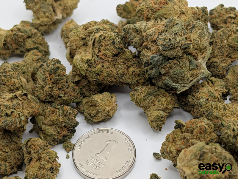 קנאביס רפואי תפרחת טנג'י קוש - T22/C4 - Tangie Kush פיס נטורלס לילה - אינדיקה