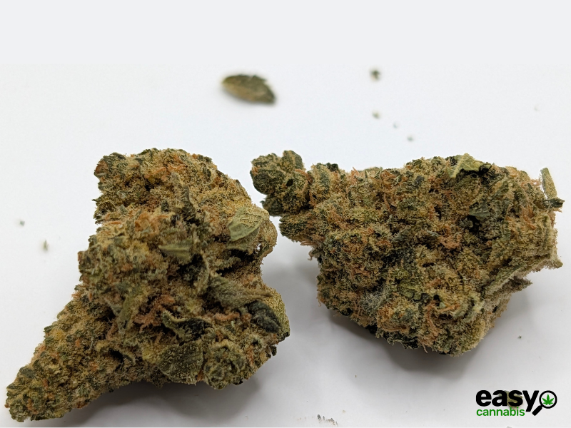 קנאביס רפואי תפרחת טנג'י קוש - T22/C4 - Tangie Kush פיס נטורלס לילה - אינדיקה