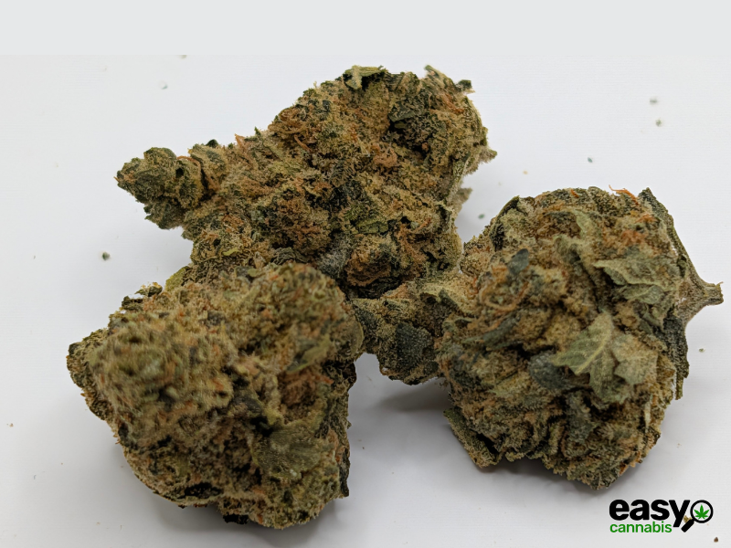 קנאביס רפואי תפרחת טנג'י קוש - T22/C4 - Tangie Kush פיס נטורלס לילה - אינדיקה