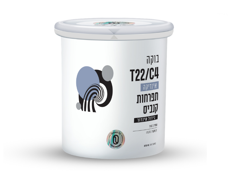 קנאביס רפואי פחית תפרחת בוקה - T22/C4 - Buca טריכום לילה - אינדיקה