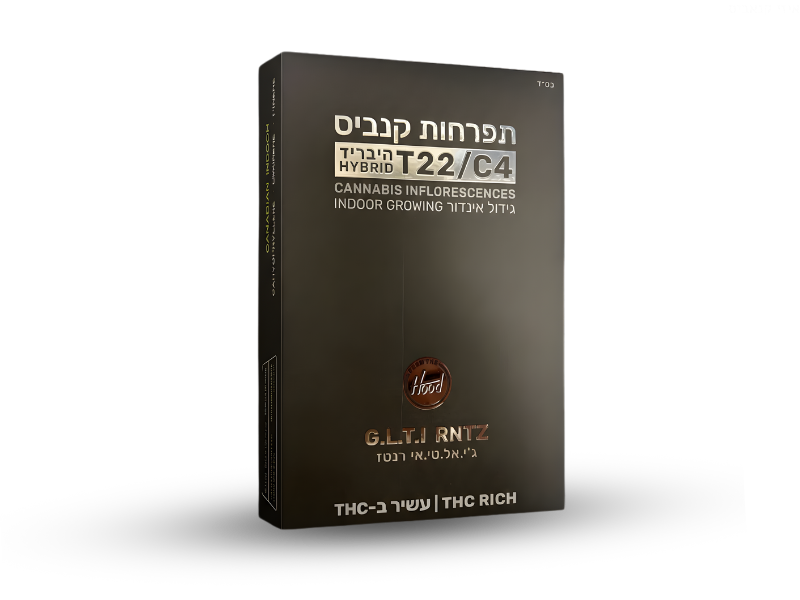 קנאביס רפואי תפרחת ג.ל.ט.י רנטז - T22/C4 - G.L.T.I RNTZ היליז יום\לילה - היברידי