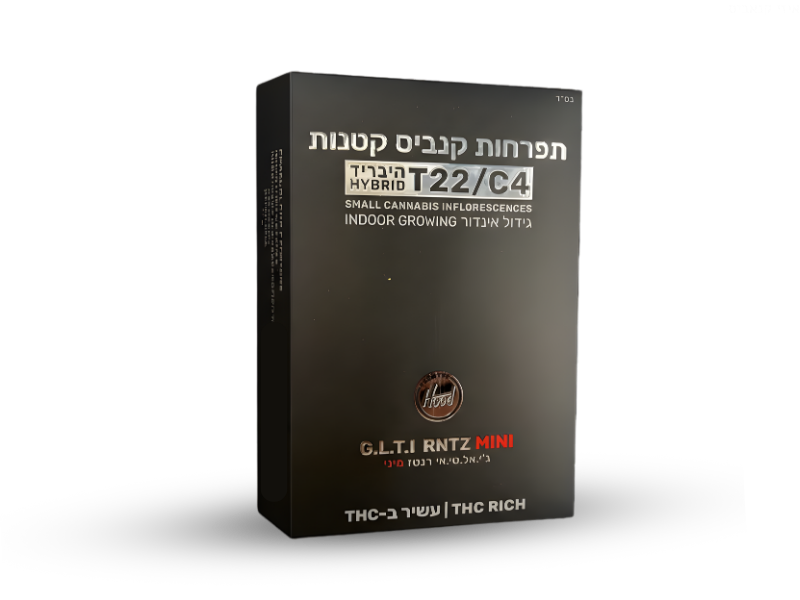 קנאביס רפואי תפרחת ג.ל.ט.י רנטז מיני - T22/C4 - G.L.T.I RNTZ Mini היליז יום\לילה - היברידי