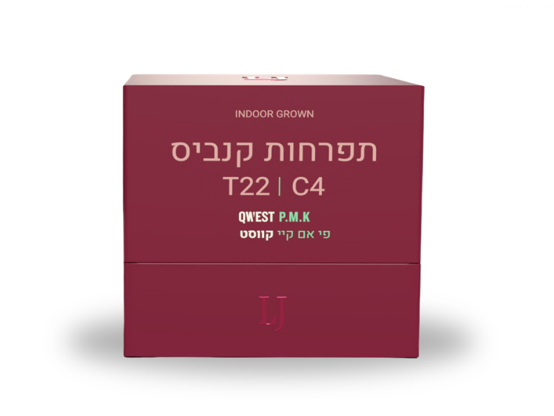 קנאביס רפואי תפרחת קווסט פי אם קיי - T22/C4 - Qwest PMK קרונוס לילה - אינדיקה