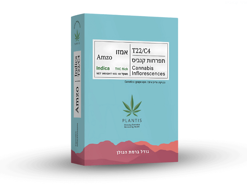 קנאביס רפואי תפרחת אמזו - T22/C4 - Amzo פלאנטיס לילה - אינדיקה