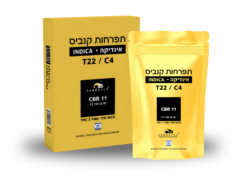 קנאביס רפואי תפרחת סי בי אר 11 - T22/C4 - CBR 11 קנאבר לילה - אינדיקה
