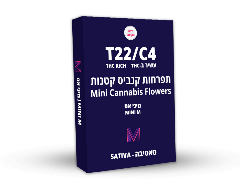 קנאביס רפואי תפרחת מיני אם - T22/C4 - Mini m נובה קנאביס יום - סאטיבה