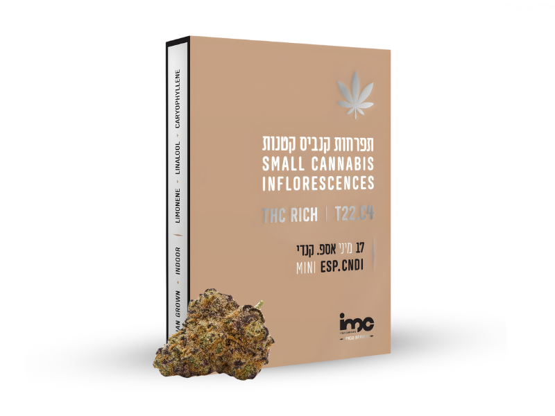 קנאביס רפואי תפרחת אספ.קנדי מיני - T22/C4 - ESP.CNDY MINI איי.אמ.סי יום\לילה - היברידי
