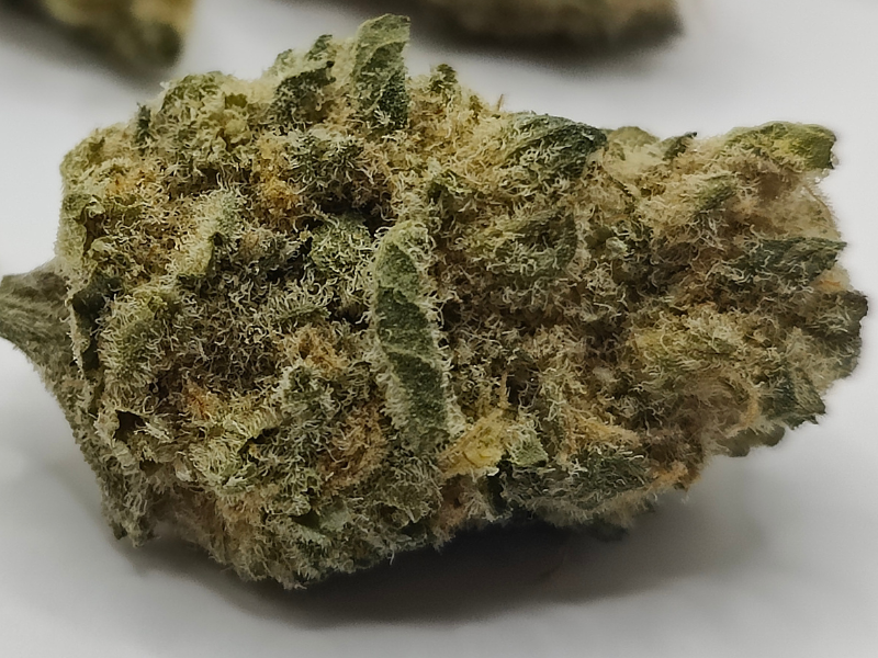 קנאביס רפואי תפרחת אר.2.די.2  - T22/C4 - R.2.D.2 טוגדר פארמה לילה - אינדיקה