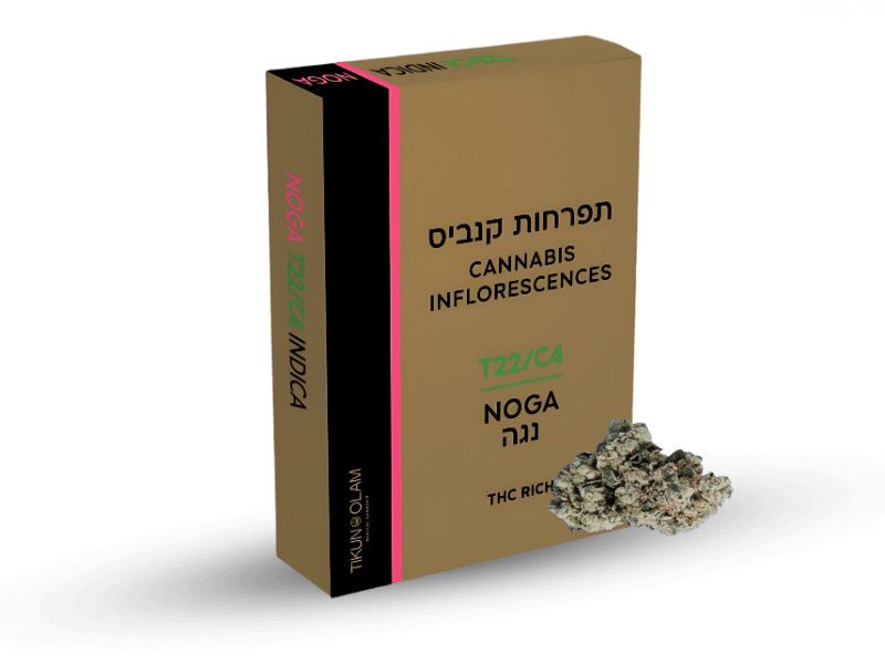 קנאביס רפואי תפרחת נגה - T22/C4 - Noga תיקון עולם לילה - אינדיקה