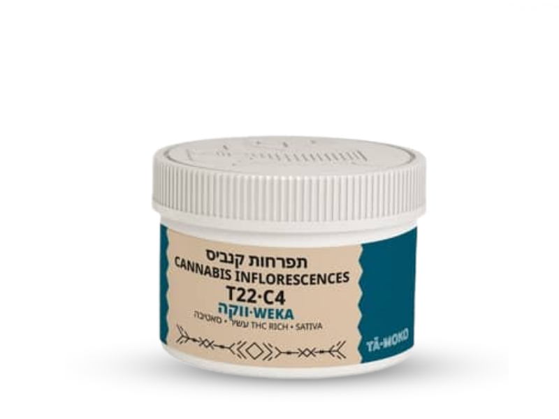 קנאביס רפואי תפרחת ווקה - T22/C4 - Weka בזלת פארמה יום - סאטיבה