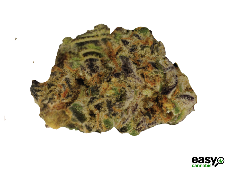 קנאביס רפואי תפרחת סולו הייב מיני - T22/C4 - SOLO Hive Mini מדוקאן לילה - אינדיקה