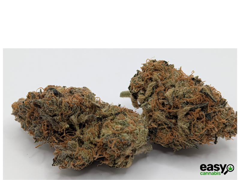 קנאביס רפואי תפרחת דיפי.אס - T22/C4 - Deepi.s איי.אמ.סי לילה - אינדיקה