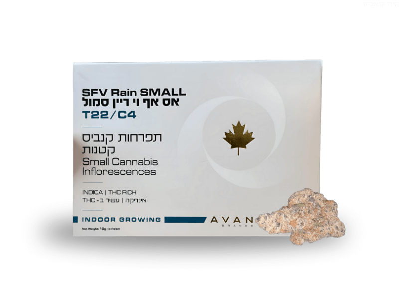 קנאביס רפואי תפרחת אס אף וי ריין סמול - T22/C4 - SFV Rain Small טוגדר פארמה לילה - אינדיקה