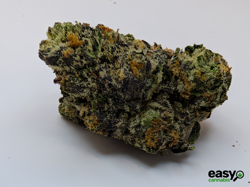 קנאביס רפואי תפרחת סולו תדר - T22/C4 - SOLO Teder מדוקאן יום\לילה - היברידי