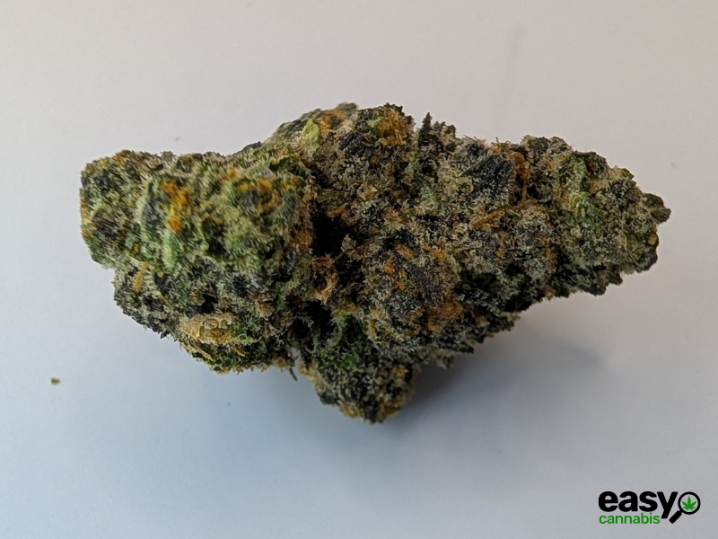 קנאביס רפואי תפרחת סולו תדר - T22/C4 - SOLO Teder מדוקאן יום\לילה - היברידי