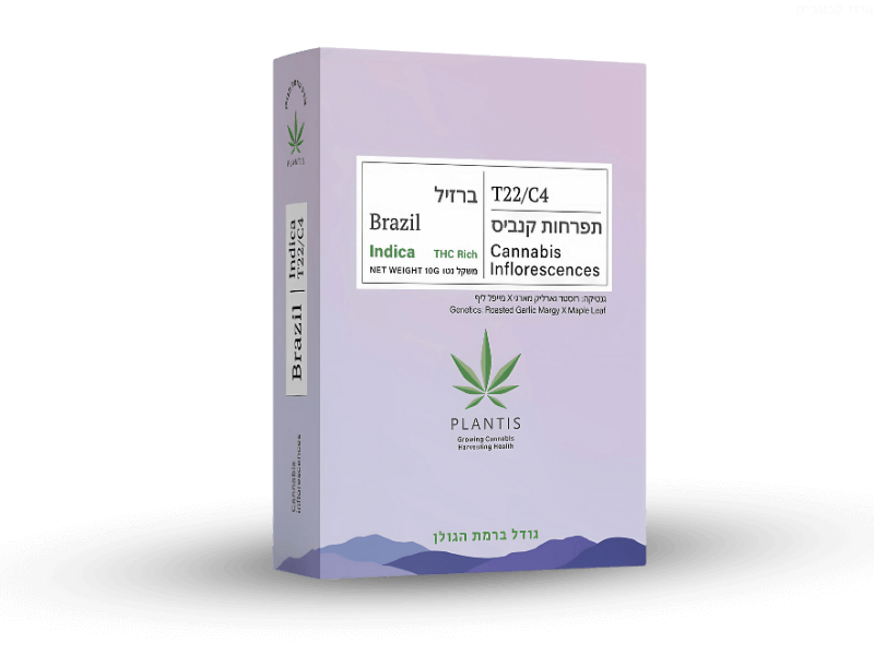 קנאביס רפואי תפרחת ברזיל - T22/C4 - Brazil פלאנטיס לילה - אינדיקה