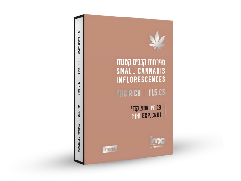 קנאביס רפואי תפרחת אספ.קנדי מיני - T15/C3 - ESP.CNDY MINI איי.אמ.סי יום\לילה - היברידי